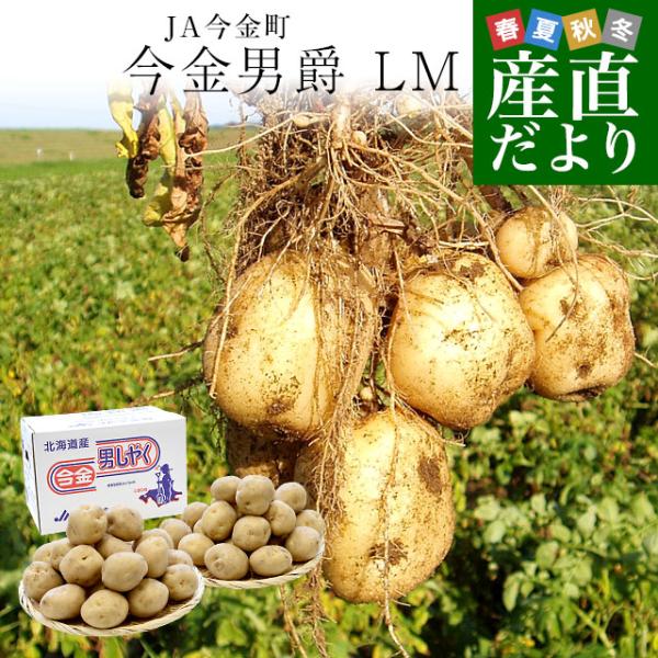 東京都大田市場より発送します。商品名：じゃがいも（男爵）LMサイズ産地：北海道内容量：約5キロ（44玉前後）北海道じゃがいものブランド産地「今金町」は、男爵一筋でその味を磨き上げてきた究極の男爵産地。デンプンの含有量にこだわり、ホクホクの男...