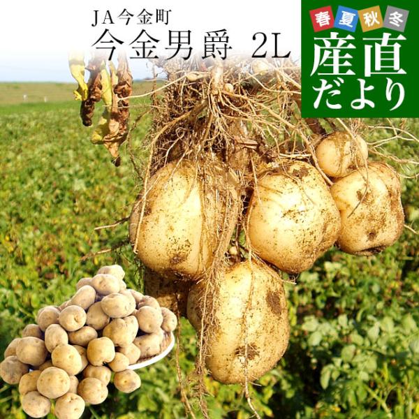 kCY JA Ⴊ j 2LTCY 10L(45ʑO)@ n鏒 WKC  j݈