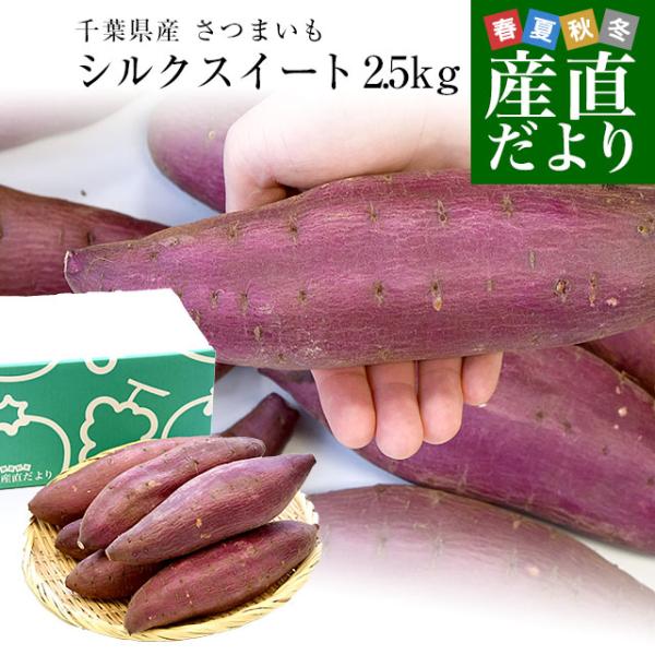 sanchokudayori_4100922779