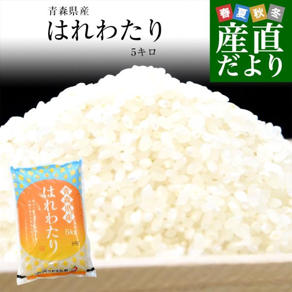 令和７年産 青森県産 はれわたり  5キロ 送料無料爆買