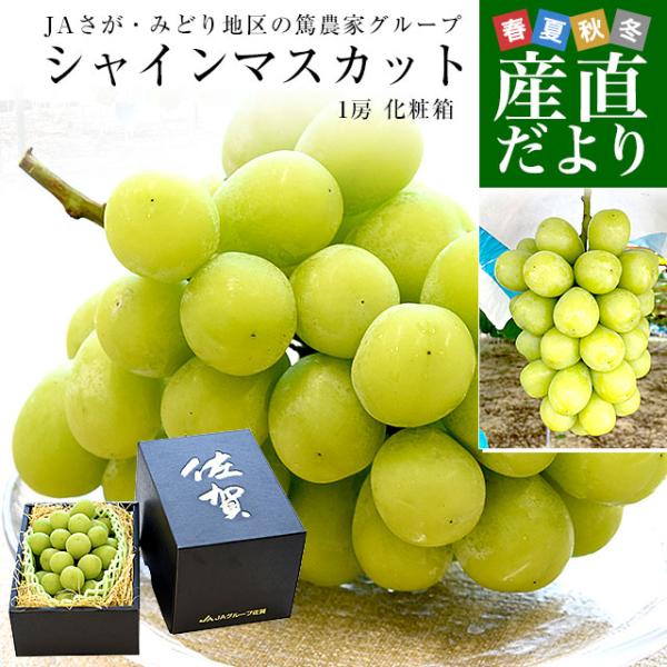 佐賀県より産地直送 JAさが みどり地区 篤農家グループのシャインマスカット 1房 約550g 化粧箱 送料無料 from九州 ぶどう 葡萄 マスカット
