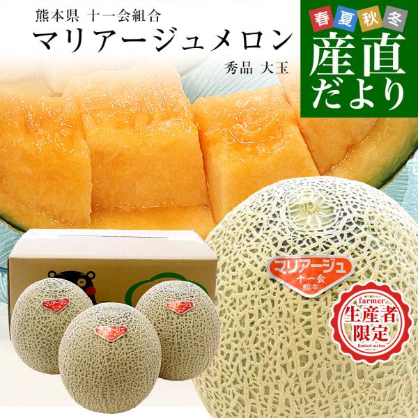 熊本県から産地直送 十一会組合 マリアージュメロン 秀品 大玉4Lから3Lサイズ 約5キロ（3玉から4玉）送料無料 赤肉メロン 春メロン めろん