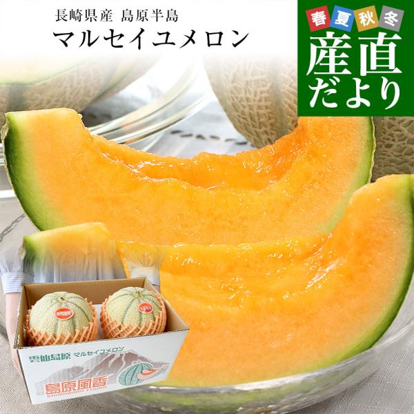 長崎県産 赤肉メロン マルセイユメロン 秀品 3Lサイズ 2玉（合計2.5キロ前後）送料無料 めろん 雲仙島原 爆買