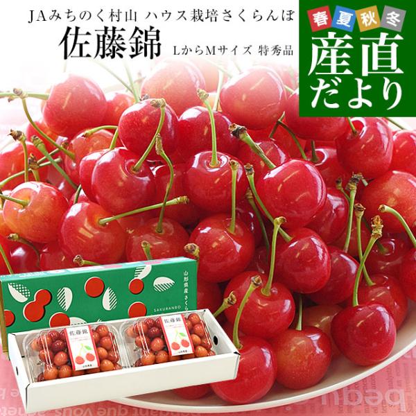 さくらんぼ 特秀さくらんぼ佐藤錦[山形セレクション]600gバラ詰Lサイズ以上(300g×2)