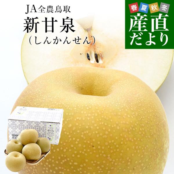 鳥取県産 JA全農鳥取 新甘泉梨 約1.8キロ（5玉から6玉入り）送料無料 しんかんせんなし 梨 ナシ