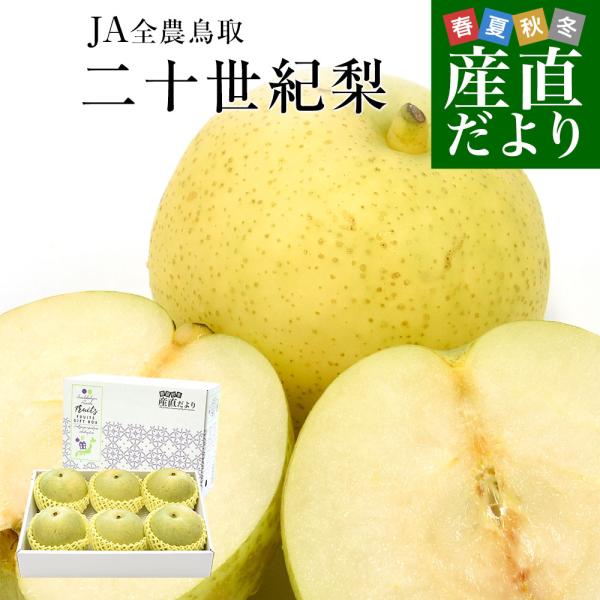 鳥取県産 JA全農鳥取 二十世紀梨 約1.8キロ（5玉から6玉入り）送料無料 なし ナシ 青梨 和梨