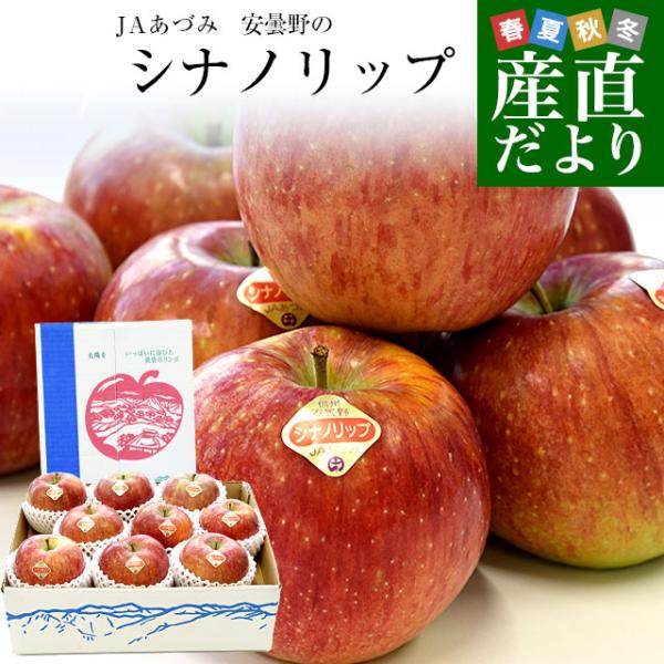 長野県 JAあづみ 安曇野 シナノリップ 約3キロ（8玉から10玉入り）送料無料 りんご アップル クール便