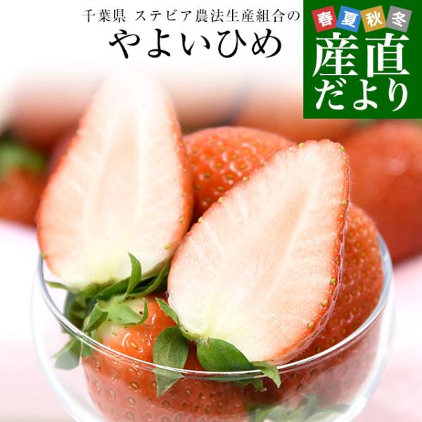 東京都大田市場より発送いたします。商品名：やよいひめ内容量：約1キロ(260g×4パック)産地　：千葉県甘みが強く、しっかりとした果肉で食べ応えも抜群の「やよいひめ」をたっぷり約1キロお届けします！こだわりのステビア農法にて栽培しているため...