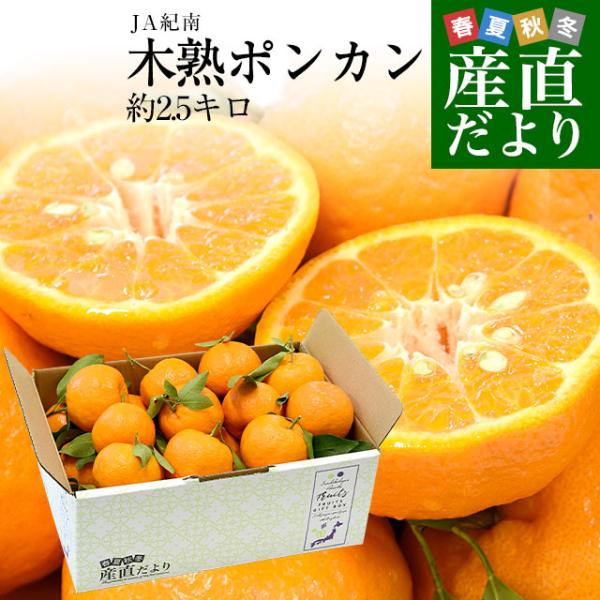 和歌山県産 JA紀南 木熟ポンカン 3LからL 秀品 約2.5キロ(12玉 和歌山県産 JA紀南 木熟ポンカン 3LからL 秀品 約2.5キロ(12玉