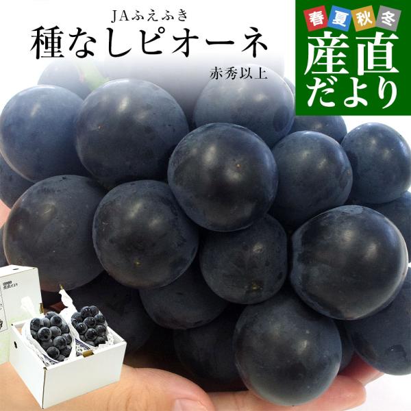 山梨県産JAふえふき　大型サイズ　種なしピオーネ 秀品 約1.1キロ (2房入り) 送料無料 葡萄 ぶどう 黒ぶどう ※クール便