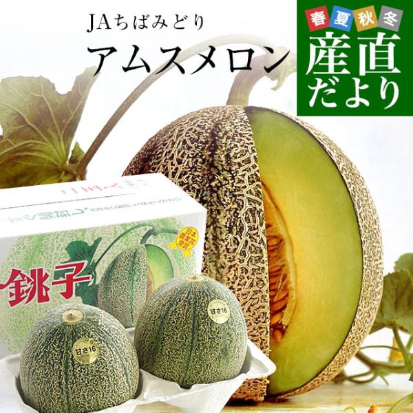 千葉県産 JAちばみどり アムスメロン 金印16 大玉 合計約4キロ