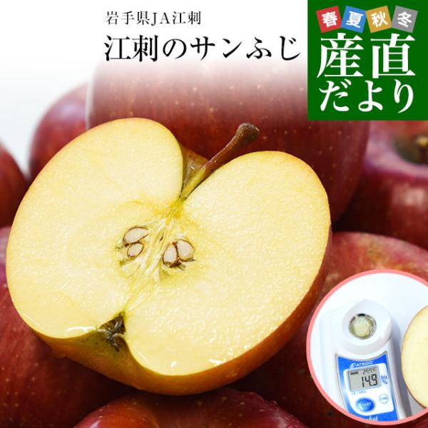 岩手県産 JA江刺 江刺のサンふじ 糖度14度以上 ご家庭向け 約3キロ (8玉から13玉) 送料無料 りんご リンゴ 林檎 江刺りんご 奥州りんご 奥州ロマン