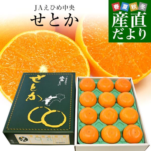 愛媛県産 JAえひめ中央 せとか 青〇品 化粧箱 4Lから2Lサイズ 約3キロ