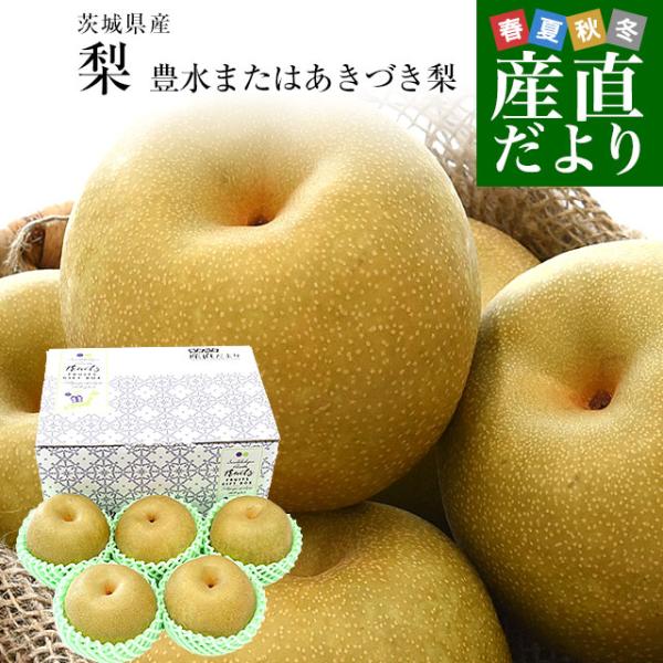 茨城県産 梨 豊水またはあきづき梨 優品 大玉厳選 約2キロ（4玉から6玉入り）送料無料 なし ナシ 和梨 赤梨 ほうすい