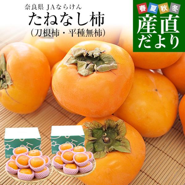 奈良県 JAならけん たねなし柿（刀根柿・平種無柿）優品以上 LからM