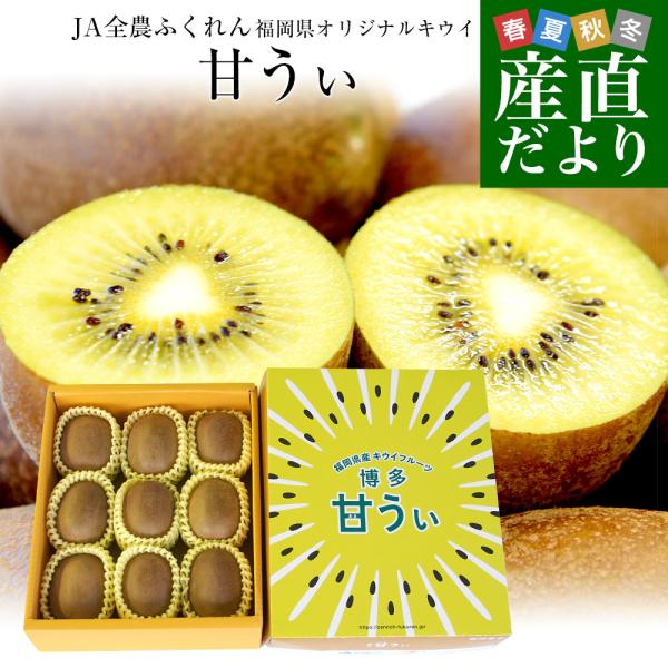 福岡県産JA全農ふくれん 福岡オリジナルキウイ 甘うぃ（あまうぃ）秀品 1.3キロ以上　化粧箱（5Lから3Ｌサイズ8玉から10玉入り）送料無料 キウイフルーツ