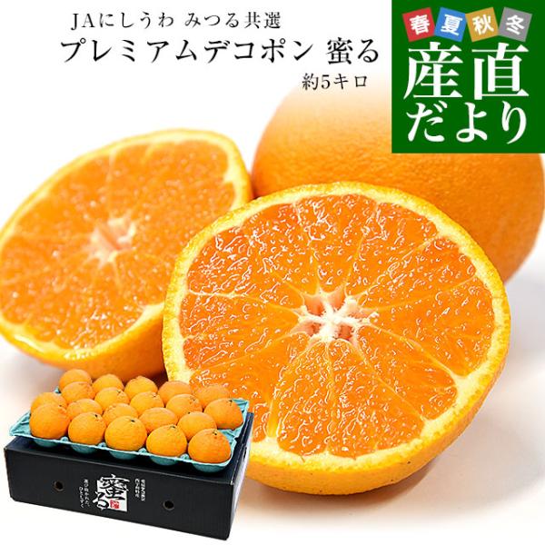 愛媛県産 JAにしうわ みつる共選 プレミアムデコポン 蜜る（みつる） 3Lから2Lサイズ 約5キロ(18玉から20玉) 送料無料 にしうわ 西宇和 でこぽん 柑橘