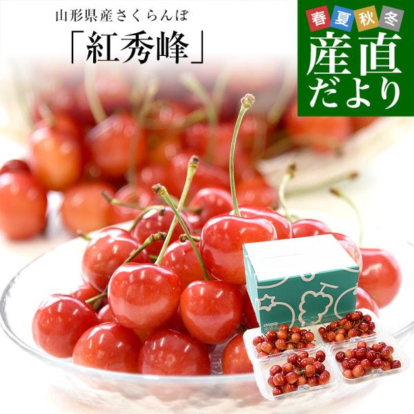 山形県産さくらんぼ「紅秀峰」秀品 Lサイズ以上 大ボリューム 約800g（約200g×4パック）送料無料 クール便 サクランボ 桜桃