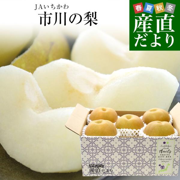 千葉県産 JAいちかわ 市川の梨 (曽谷・下貝塚支部他) 優品以上 大玉 約2キロ(4玉から6玉) 送料無料 梨 なし ナシ 豊水 ほうすい あきづき