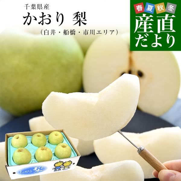 千葉県産 かおり 梨（白井・船橋・市川エリア）優品以上 大玉 約5キロ（5玉から10玉入り） 送料無料 梨 ナシ