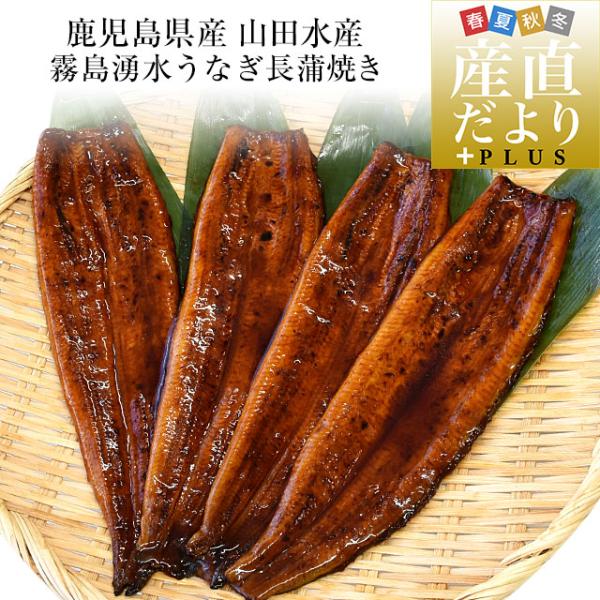 鹿児島県志布志市商品名：うなぎ蒲焼　長蒲焼き内容量：大サイズ　140ｇ前後×4尾原材料：【うなぎ蒲焼】うなぎ(鹿児島県)、しょうゆ、砂糖混合異性化液糖、発酵調味料、水あめ、砂糖、うなぎエキス(原材料の一部に小麦、大豆を含む)【添付たれ】しょ...