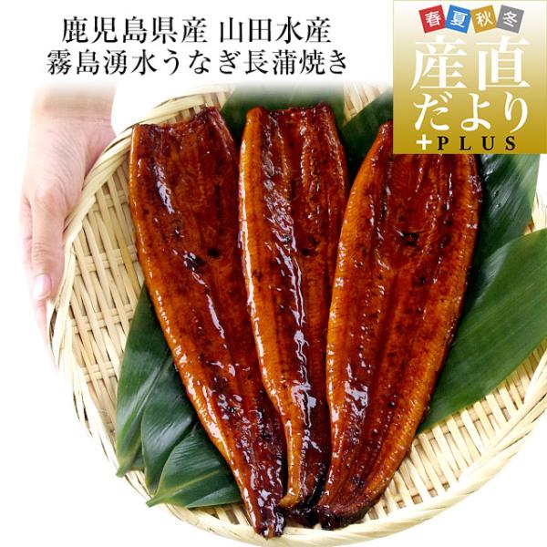 鹿児島県志布志市商品名：うなぎ蒲焼　長蒲焼き内容量：大サイズ　140ｇ前後×3尾原材料：【うなぎ蒲焼】うなぎ(鹿児島県)、しょうゆ、砂糖混合異性化液糖、発酵調味料、水あめ、砂糖、うなぎエキス(原材料の一部に小麦、大豆を含む)【添付たれ】しょ...