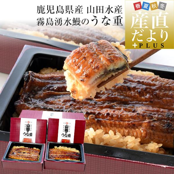 鹿児島県志布志山田水産から発送します。商品名：冷凍米飯類（鰻重）内容量：鰻重620g（310g×2P）、添付たれ25g（12.5g×2P）、添付さんしょう×2P原材料名：【鰻重】米（佐賀県産）,うなぎ蒲焼き〔うなぎ（鹿児島県産）、しょうゆ（...