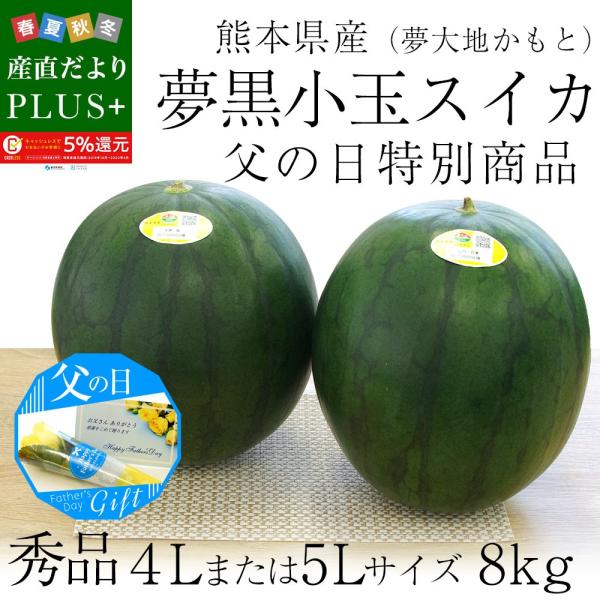 父の日ギフト 送料無料 熊本県産 夢黒小玉スイカ 秀品 ４l又は５lサイズ 4キロ 2玉化粧箱 すいか 小玉すいか スイカ 黒小玉スイカ 黄色バラ造花付き Buyee Buyee Japanese Proxy Service Buy From Japan Bot Online
