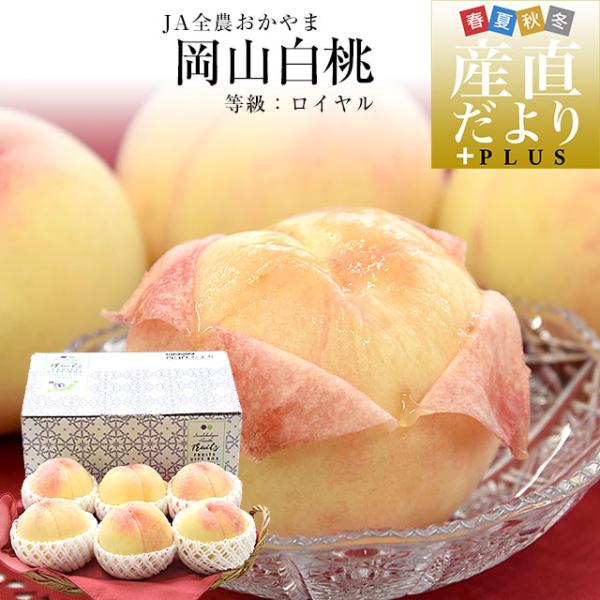本日朝収穫岡山県産ヤマモモ(山桃)特玉2キロとおまけ付き 桃