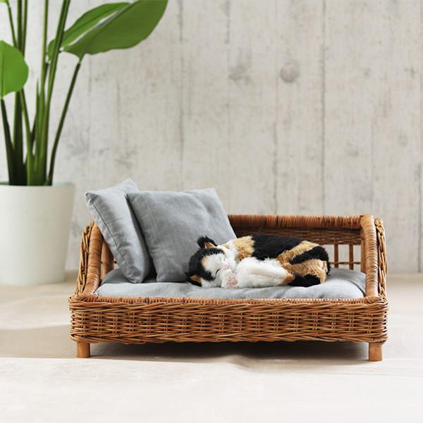 ybgxbh ybg\t@  Jh[ ybgnEX   oXPbg  ҂   ^  L ˂ VRf i` 킢 NbV t ^