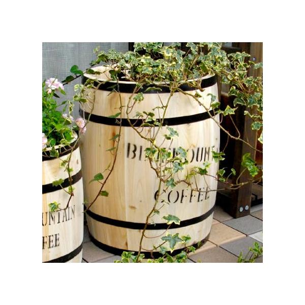 v^[ M R[q[o  30cm v^[ Jo[ v^[x[X Jo[   K[fjO  i` ی^  V l炵