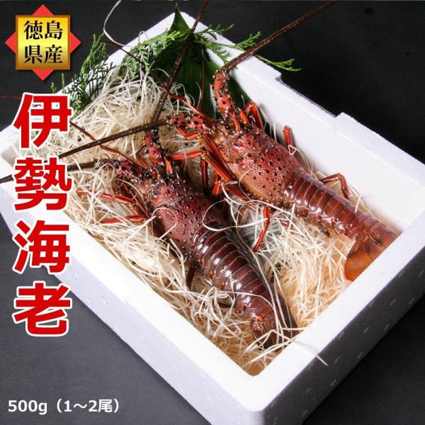 ɐCV 500gi^1`2jMtgZbg Y VRɐGr Ε N  j j