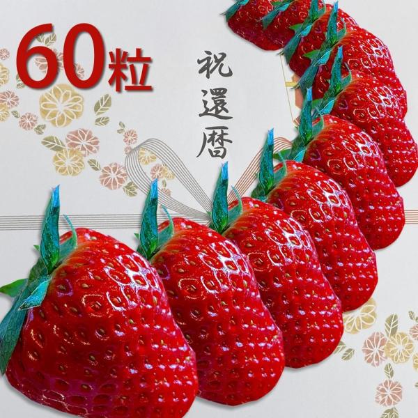 紅 いちごの人気商品 通販 価格比較 価格 Com