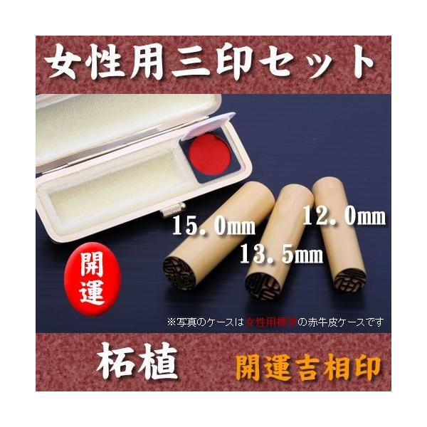 p OZbg {ѐAi15.0mm13.5mm12.0mmj P[X ZbgP[Xt  s F l ӃZbg