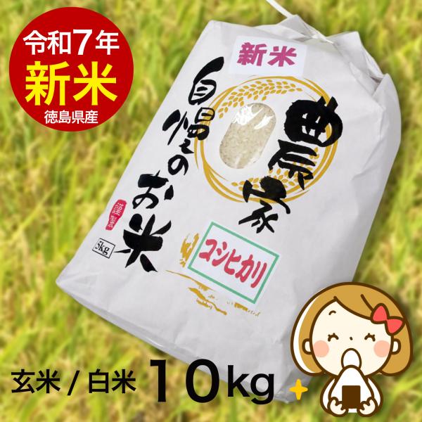 令和7年産 新米 10kg コシヒカリ 玄米/精米（白米）即納 農家自慢お米 