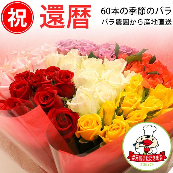 還暦祝い 60本のバラの花束 品種おまかせ 50cm茎 無料ラッピング 宅配便送料無料 60歳 長寿祝い 誕生日 元気いただきますプロジェクト R60 M 50 ありがとうわくわくの阿波の産直便 通販 Yahoo ショッピング