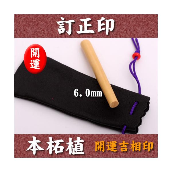   F{ѐA  6.0mm×60mm ܃P[Xt Зp av[g Mtg