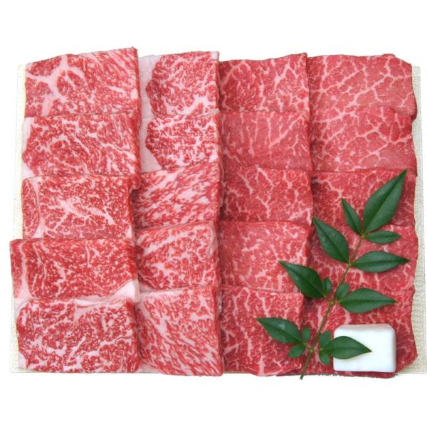 Mtg j v[g MtgZbg јa ēp FRMY-1