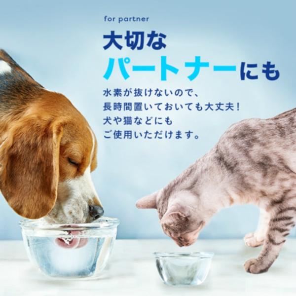 水素水水素高濃度水素水ペットにも安心送料無料高濃度水素イオン液濃縮タイプお試し100ccタイプ Buyee 日本代购平台 产品购物网站大全 Buyee一站式代购
