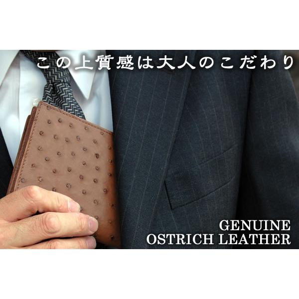 サイフ 紳士長財布オーストリッチ　【ostrich】