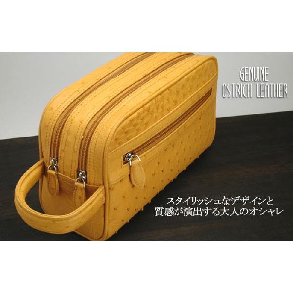 バッグ Wファスナーセカンドオーストリッチ　【ostrich】 PJ-W1