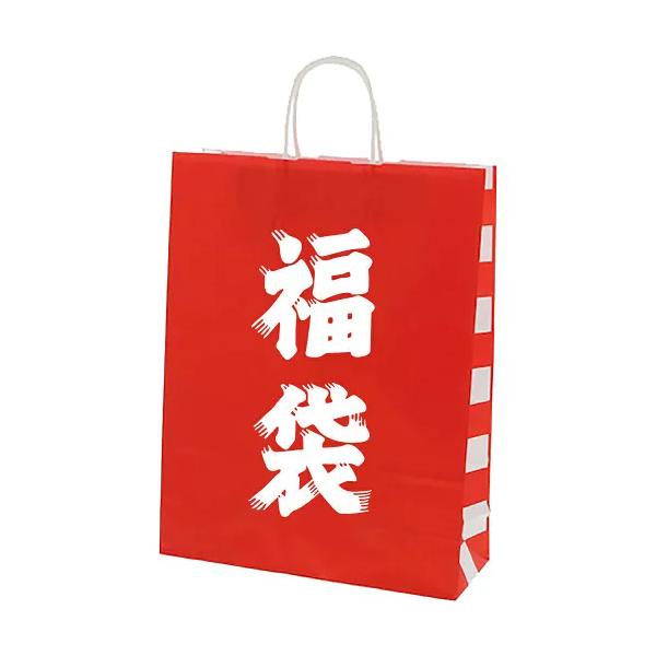 紙袋 手提げ袋 福袋 <br>小サイズ 幅21×マチ11×高さ27cm<br>中サイズ 幅32×マチ11×高さ27cm<br>検索用：【 袋のみ 】 福袋 50枚 紙袋 福袋用 袋 手提げ袋 手提袋 丸紐...