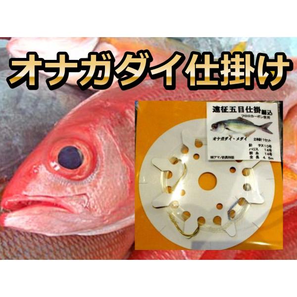 オナガ メダイ シマアジオオカミ仕掛け 遠征釣り ハリス１２号 １４号 4 5ｍ2本針 Nakata Onagasikake サンゴ堂ヤフーショッピング店 通販 Yahoo ショッピング