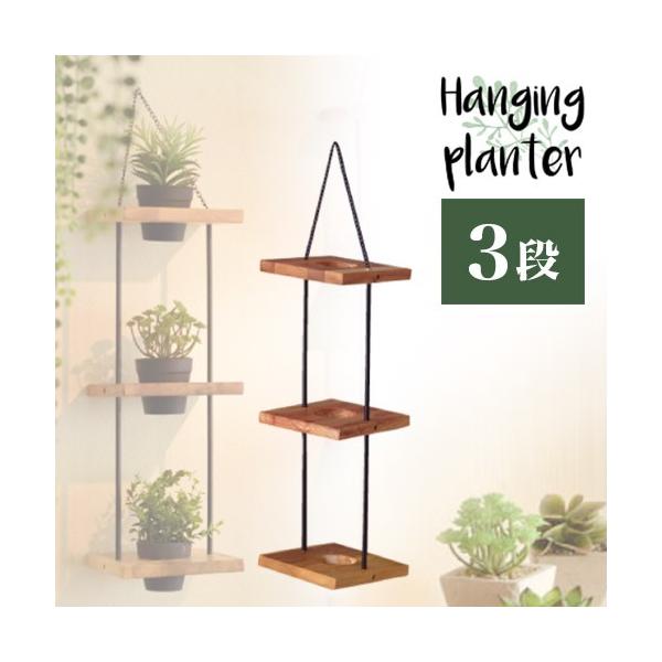 nMOv^[ Ri X^h Ebhv^[  u v^[X^h 3i 25cm Ȕ ACAv^[ Jo[