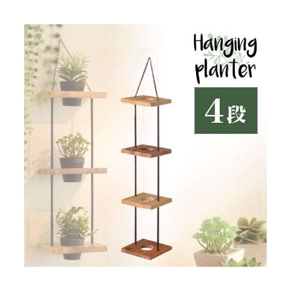 nMOv^[ 4i X^h Ebhv^[  u v^[X^h 25cm Ȕ ACAv^[ Jo[