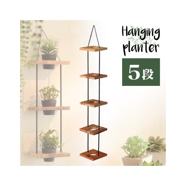 nMOv^[ Ti X^h Ebhv^[  u v^[X^h 5i 25cm Ȕ ACAv^[ Jo[