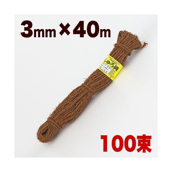  F 3mm 40m 100 100 100 L V ` K[fjO  _ Ɩ x  V  R