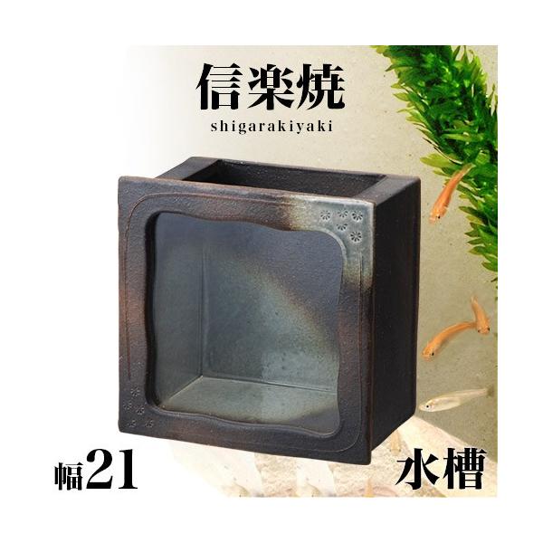 MyĂ  a ֊p 21 22  퐻 NHK My XJ[bg ֊p My ANAE 炫  