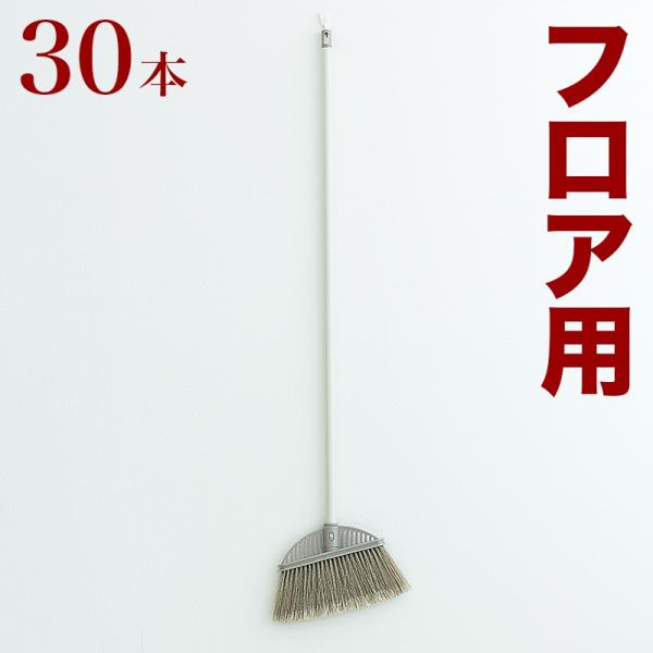 ق Ch tAp Ɩp 30{ Zbg   NEW ChtA[z[L |Ǖ tA[ | NNn 炩 _炩 抄