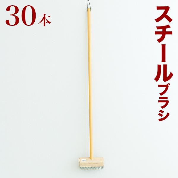 fbLuV X`[ Ɩp 30{ Zbg C[uV ؂̍ C[fbLuV ؕ DB-43 T[Lbg [X R[X X`[uV